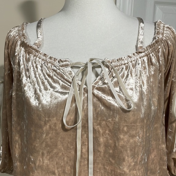 NWT hem & thread tan crushed velvet off-shoulder top. Romantic with bows. - Picture 4 of 12